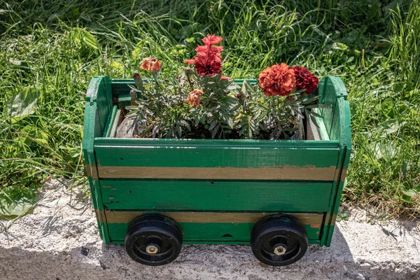 Röda Blommor Blomkruka Som Vagn Trädgården Sommardag Trädgårdsskötsel Och Naturlig — Stockfoto