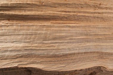 Doğal bir arkaplan oluşturmak için ağaç dokusu