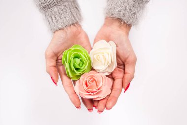 Beyaz arka planda üç güzel çiçek tutan kadın elleri