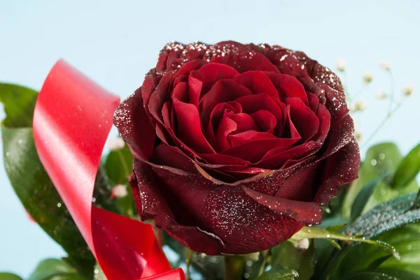 Close Ozdobiony Kwiat Róży Biurokracji Niebieskim Tle — Zdjęcie stockowe
