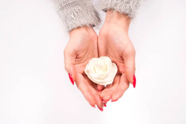 Biały Kwiat Rękach Kobiety Izolowane Białym Tle — Zdjęcie stockowe