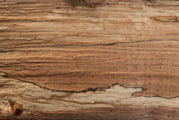 Beauty Natural Wood Texture Design Decoration — Stock Photo, Image