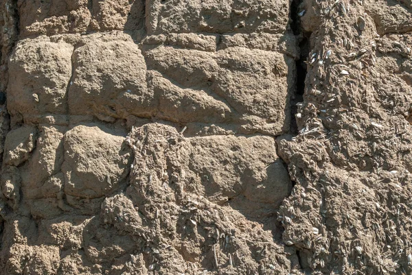 Old earthen bricks wall texture on daylight outside