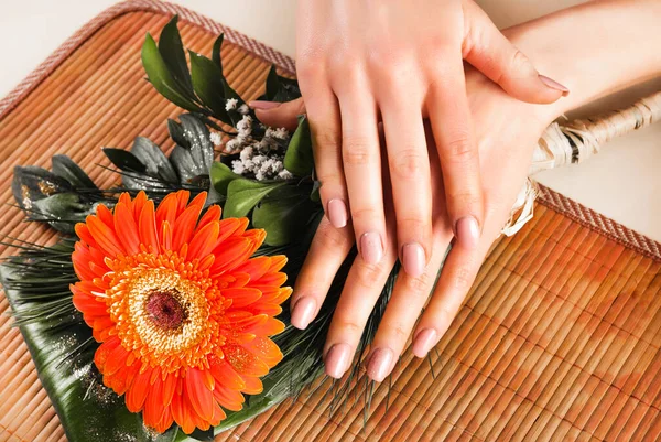Vrouwelijke Handen Met Beige Natuurlijke Kleur Nagels Gervera Oranje Bloem — Stockfoto