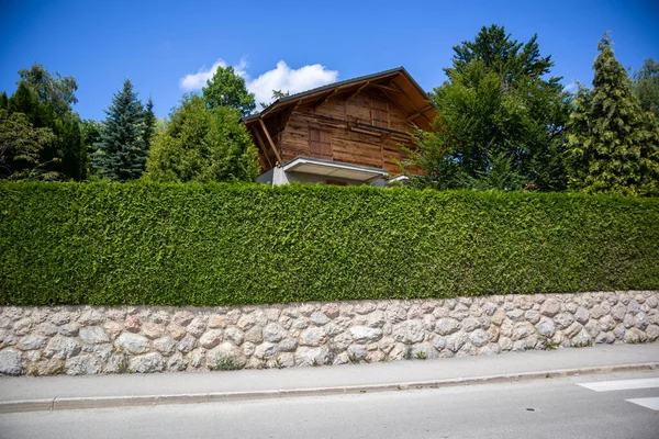 Zlatibor Serbie Juillet 2020 Clôture Brousse Verte Sur Une Belle — Photo