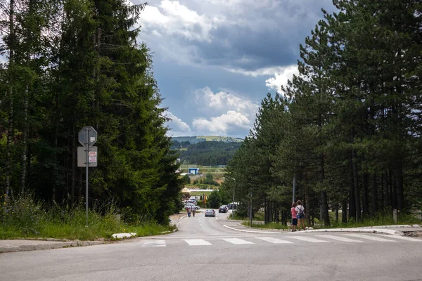 Zlatibor Serbia July 2020 Asphalt Road Dense Pine Forest Mountain — Stock Photo, Image
