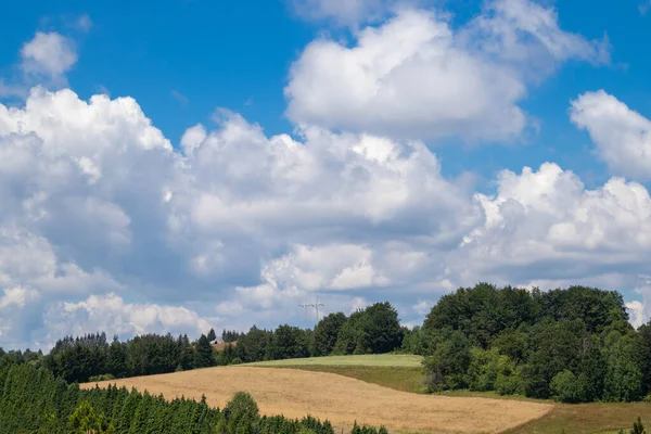 Tájkép Dombokkal Rét Erdő Egy Nyári Napon Gyönyörű Felhős Tara — Stock Fotó