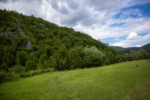 Piękne Pastwisko Zieloną Trawą Górze Słoneczny Letni Dzień Krajobraz Łąka — Zdjęcie stockowe