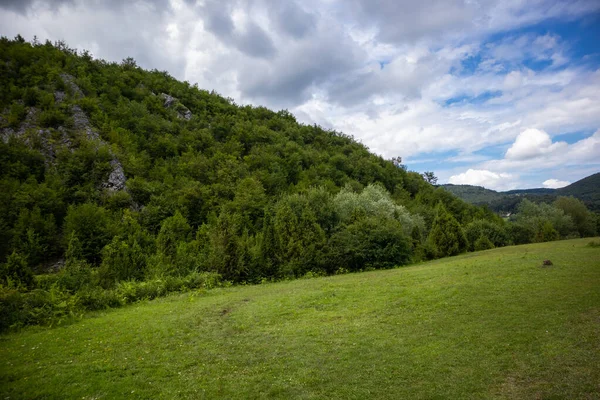 Gyönyörű Legelő Zöld Fűvel Egy Hegyen Egy Napos Nyári Napon — Stock Fotó