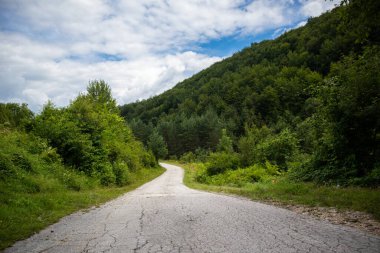 Sırbistan 'ın Zlatibor kentinde güneşli bir yaz gününde dağ ormanlarında yürüyüş ve bulutlu bir gökyüzü. Yol sık ormandan geçiyor.