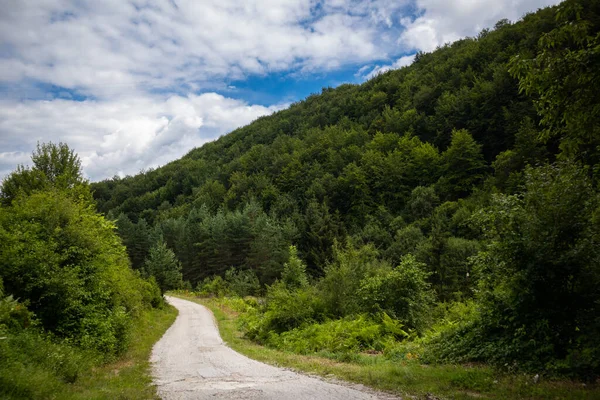 Road Pass View Walkway Mountains Sunny Summer Day Zlatibor Serbia — Stock Photo, Image