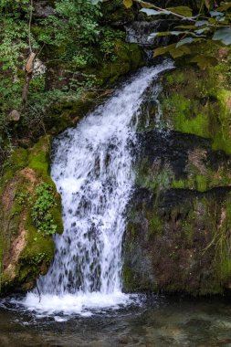 Sırbistan 'ın Ozren kentindeki yeşil bir ormanda güneşli bir yaz gününde, güzel bir dağ şelalesi.