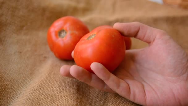 男子手牵手，检查复古编织背景下红色西红柿的质量 — 图库视频影像