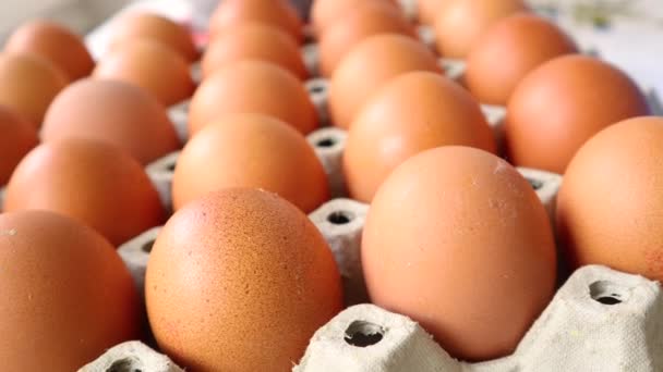 パッケージに多くの鶏の卵を閉じます.有機食品の概念 — ストック動画