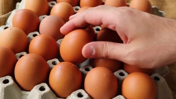 Man hand controleert de houdbaarheidsdatum van het ei in een verpakking met veel eieren — Stockvideo