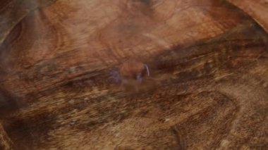 Damlacıklar su yüzeyine ahşap bir kapta düşer ve hareket eder ve dalgalar yaratır.