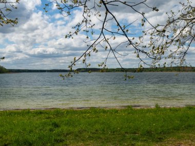 Kaszuby Gölü ağaçlarla çevrili. Gölde bir balıkçı teknesi. Polonya
