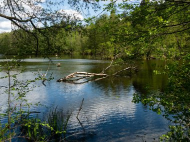 Kaszuby Gölü ağaçlarla çevrili. Gölde bir balıkçı teknesi. Polonya