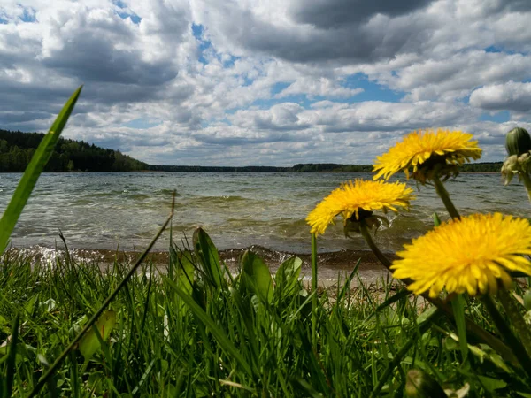 Lake Kaszuby Surrounded Trees Fishing Boat Lake Poland — Stock Photo, Image