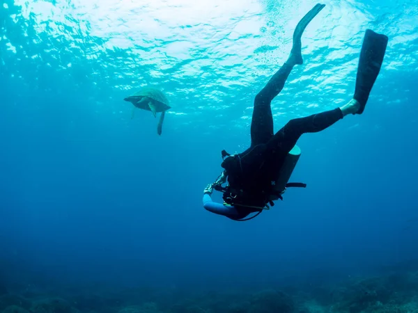 Водолаз Плавает Черепахой Луч Солнца Подводное Фото Филиппины — стоковое фото
