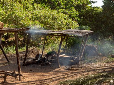 Dankoli, Benin - Vudu ayinlerinin yapıldığı kutsal yer.