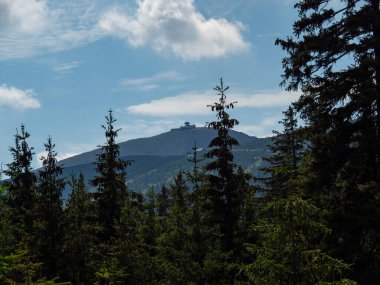 Karkonosze dağları, dağların yamaçlarındaki orman. Arka planda Sniezka üstü.