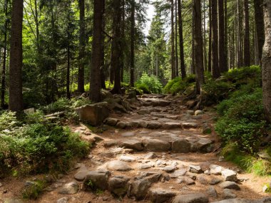 Karkonosze dağlarında yürüyüş yolu.