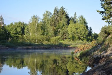 Yaz nehri kıyısındaki huş ağacı manzarası..