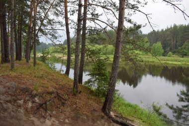 The view of coasts of forest river with reflection in the water.