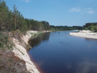 Üzerinde kum ve ağaçlar olan orman nehrinin güzel manzarası..