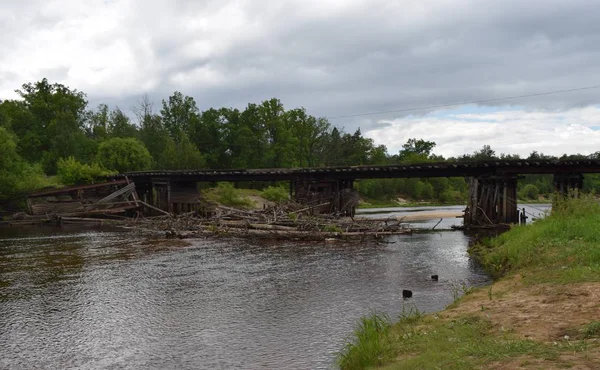 View Blockage Bridge Water Forest River — Stock Photo, Image