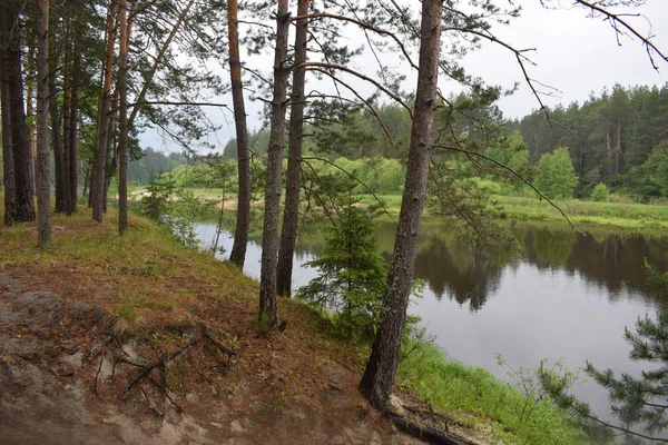 The view of coasts of forest river with reflection in the water.