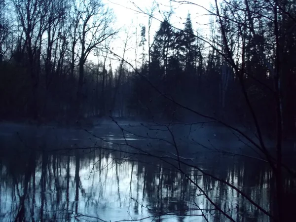 The view of early spring morning on the forest river.