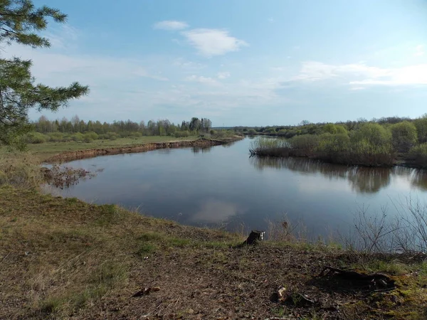 The beautiful view of turn of the forest river