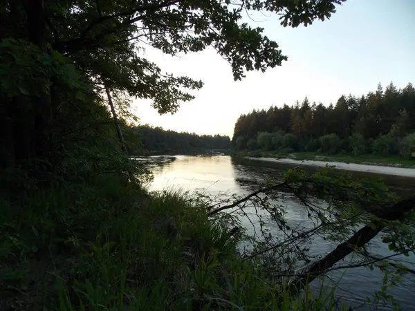 Hermosa Vista Noche Río Bosque —  Fotos de Stock