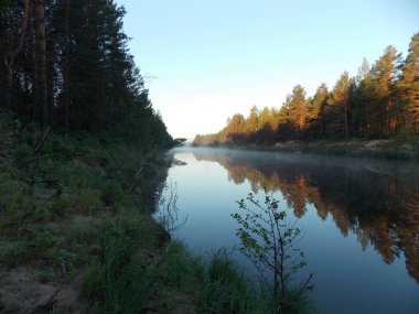 Orman nehri üzerinde sabahın erken saatlerinde görünümü.