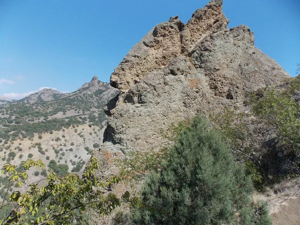 Die Schöne Aussicht Auf Die Felswand Mit Büschen Und Ästen — Stockfoto