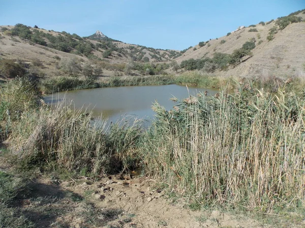 Kıyılarında kuru çimenler olan dağ gölü manzarası..
