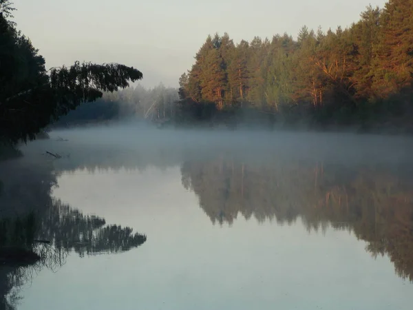 Het Water Van Bosrivier Met Mist Erop — Stockfoto