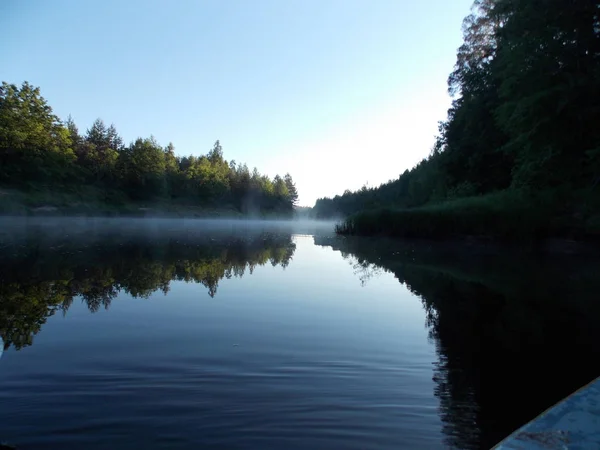 Sabah orman nehrinin su üzerinde sis görünümü.