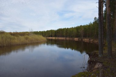 Nehrin uzun yüksek kıyısında orman manzarası.