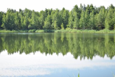 Göl suyunda orman ve gökyüzü yansıması görünümü.