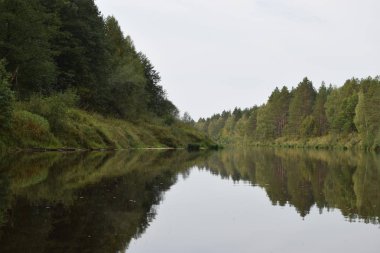 Sakin havalarda orman nehrinin görünümü.