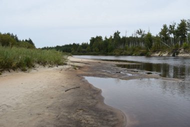 Çalılar ile kum banka görünümü.