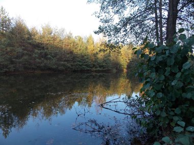 Orman nehrinin dönüşünde gün doğumu görünümü.