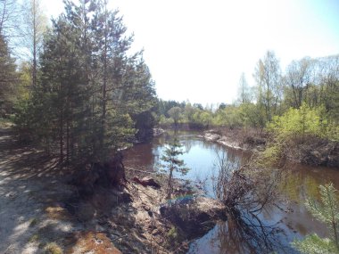 Yeşil ağaçlar ve çalılar ile orman Nehri kum bankaları görünümü.