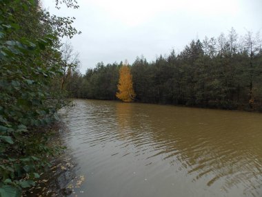 Yeşil ve sarı ağaçları ile sonbahar Kanal Görünümü.