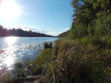 Uzun orman göl perspektifi görünümü. 