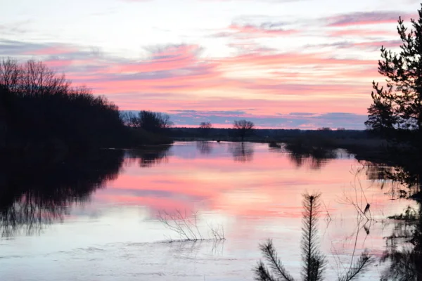 Vista Belleza Del Amanecer Agua Del Río Bosque — Foto de Stock