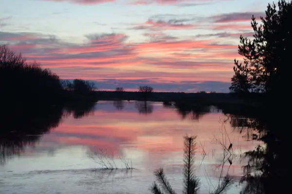 Vista Madrugada Con Amanecer Rosa Río Bosque — Foto de Stock